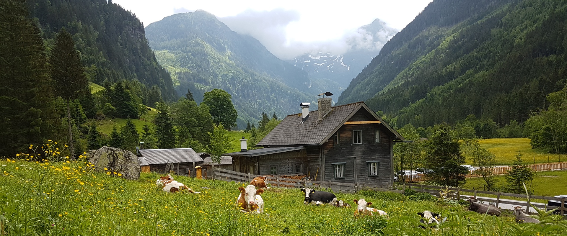 Weiße Wand Alm 1904